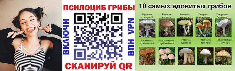 Галлюциногенные грибы GOLDEN TEACHER  Купить  Кущёвская 